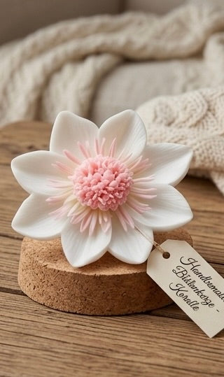 Everlasting Bloom Collection